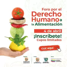 Foro Derecho Humano a la Alimentación