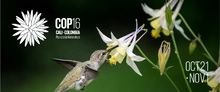 Cop16
