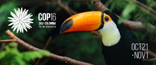 Cop16