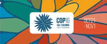 Cop16