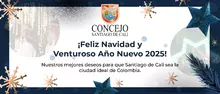 banner havidad