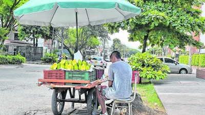 Piden informes sobre censo final de vendedores informales