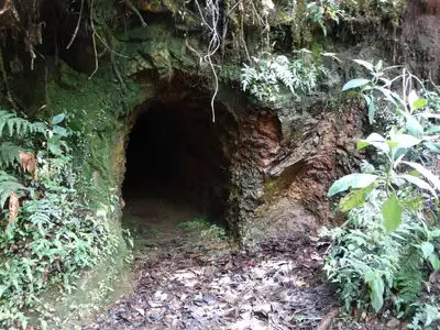 Gobierno no puede escatimar esfuerzos en la lucha contra la minería ilegal: Concejales