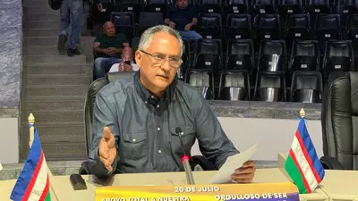 Proponen que por Acuerdo se retiren redes en desuso de posteadura a cargo de Emcali
