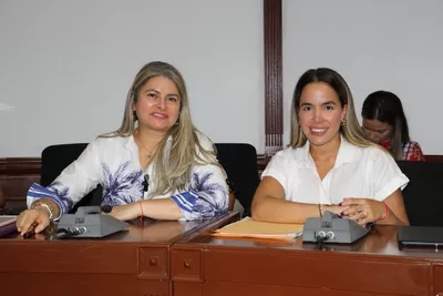 Proyecto Luz Mery Tristán a participación ciudadana