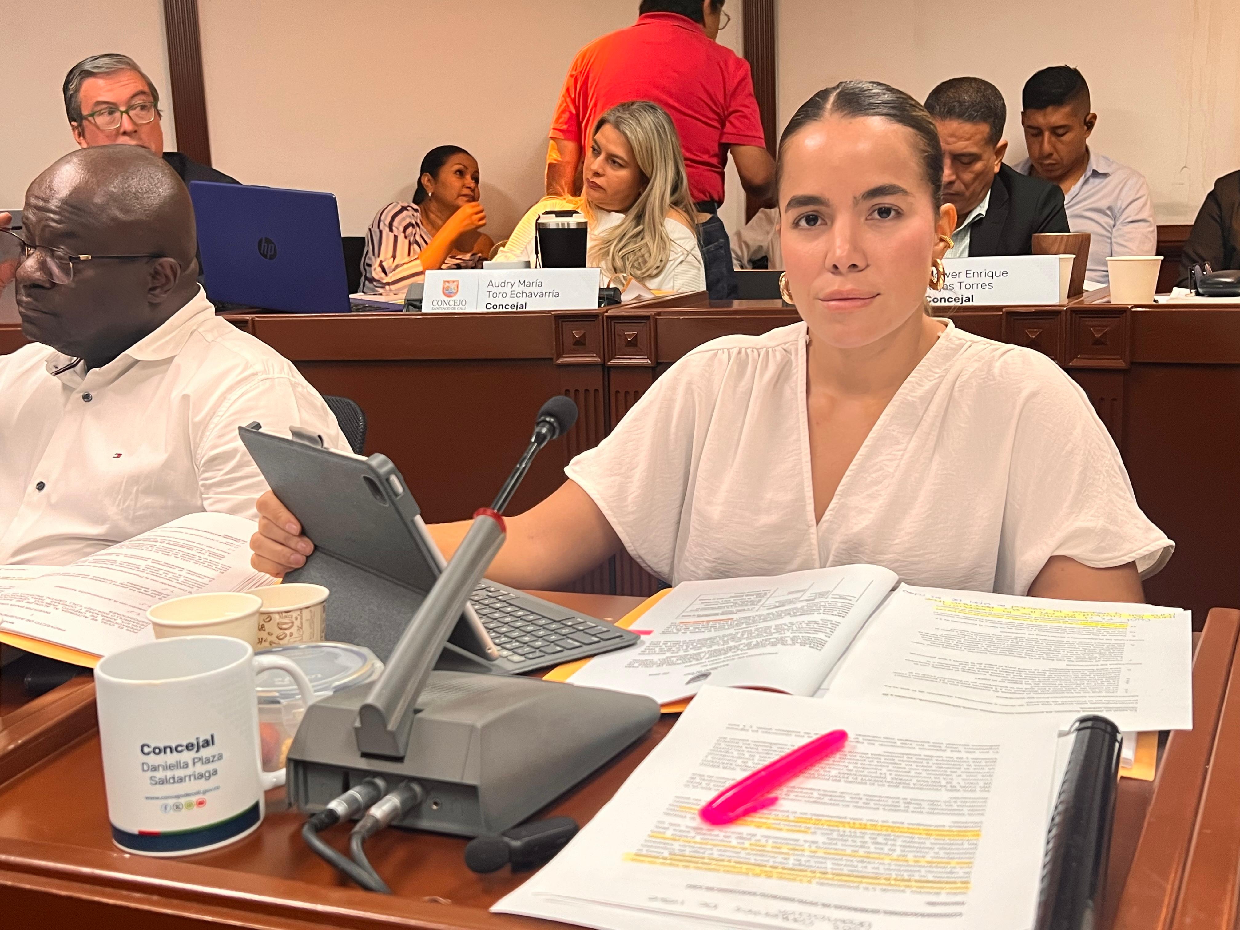 PRESUPUESTO